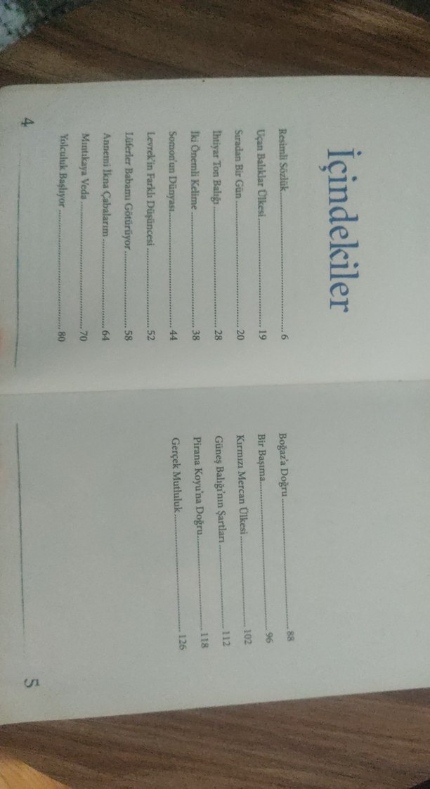 Uçan Balıklar Ülkesi - Ali Söyler - Görsel 4