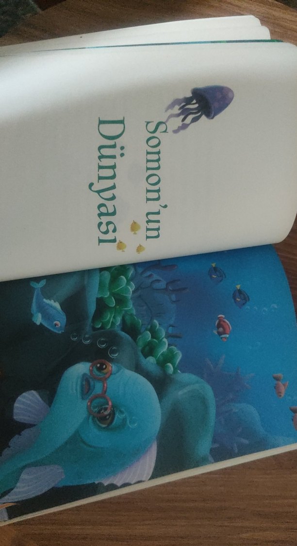 Uçan Balıklar Ülkesi - Ali Söyler - Görsel 3