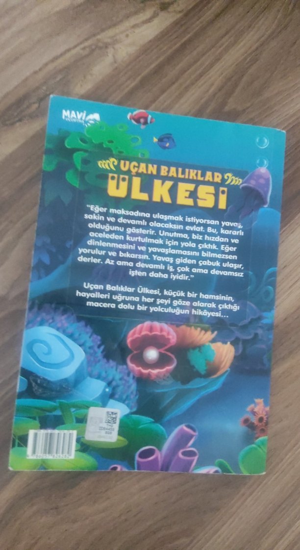 Uçan Balıklar Ülkesi - Ali Söyler - Görsel 2