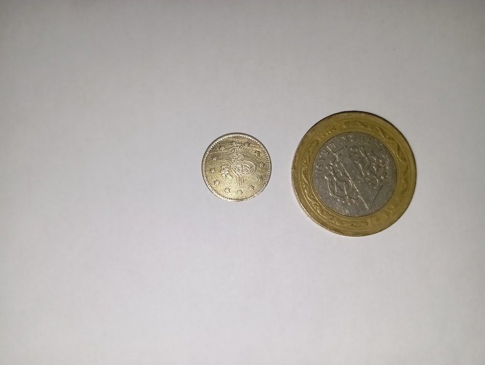 Abdülmecid 1255/12 1 Kuruş ( Gümüş) R Nadir- K.Ç - Görsel 4