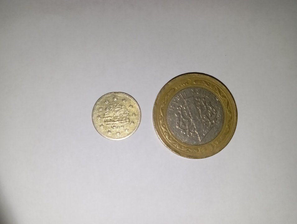 Abdülmecid 1255/12 1 Kuruş ( Gümüş) R Nadir- K.Ç - Görsel 3