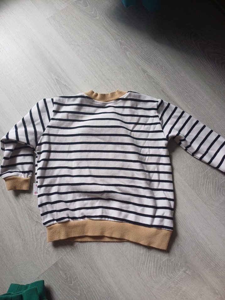 Erkek Çocuk Çizgili Ayıcık Baskılı Sweatshirt - Görsel 2