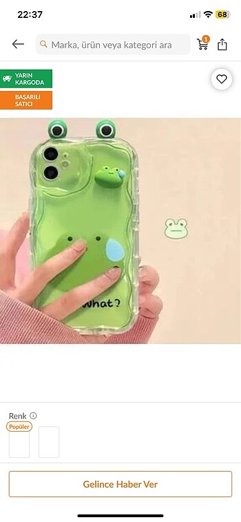 Kurbağa iphone 11 kılıf