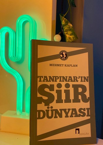 Mehmet kaplan Tanpınarın şiir dünyası
