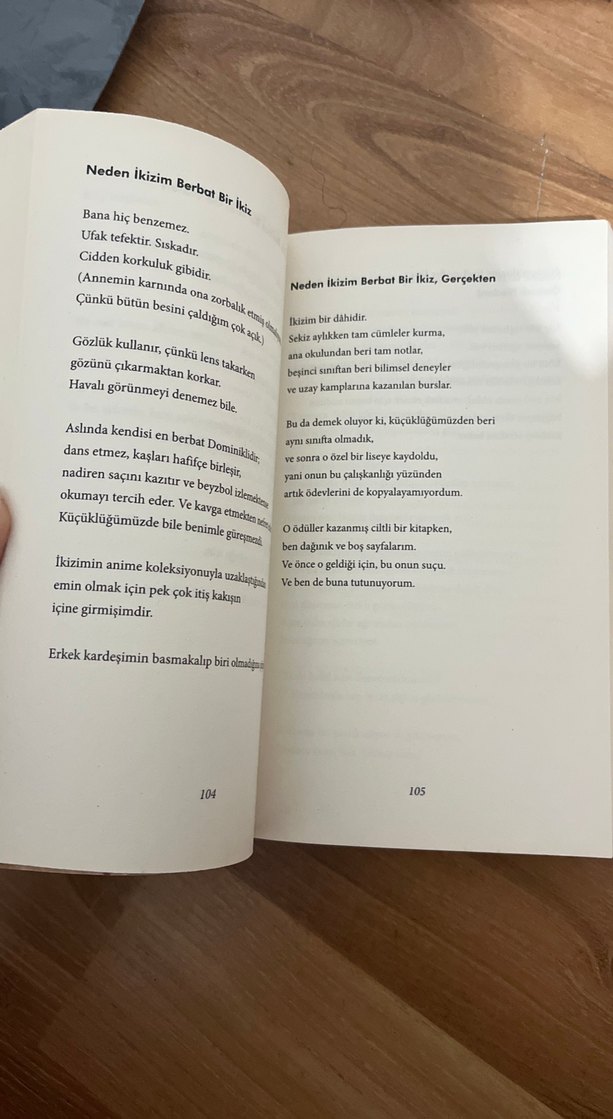 Şair X   Elizabeth Acevedonun Ödüllü Romanı — görsel 2/2