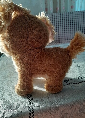 Köpek oyuncak