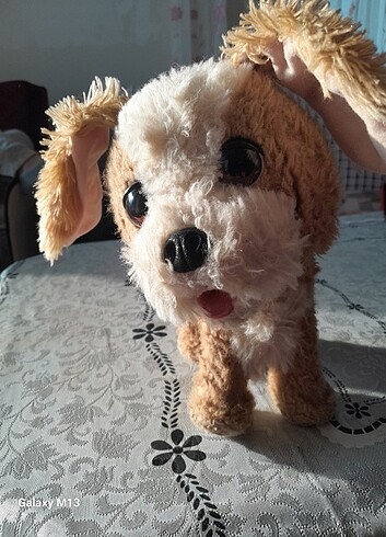 Beden Renk Köpek oyuncak