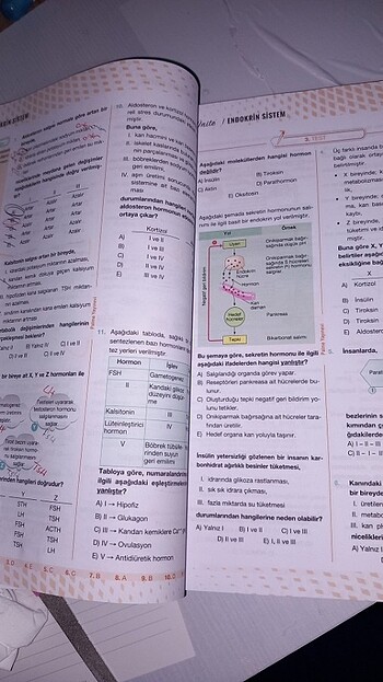 Ayt biyoloji soru bankası