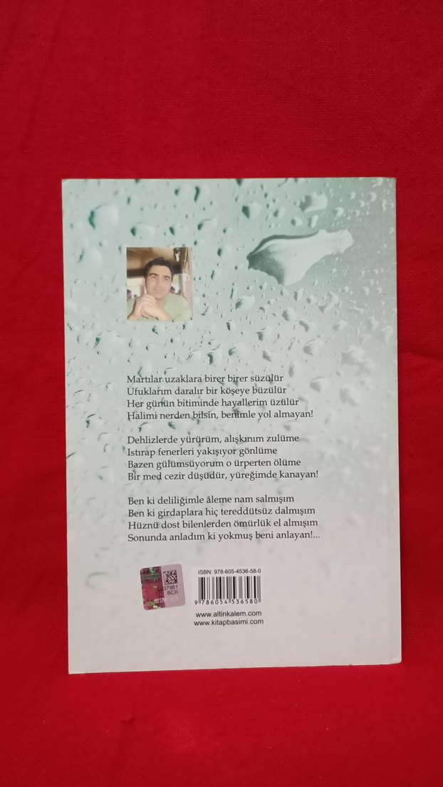 Mürsel Emre Doğan & Bir Med Cezir Düşü - Görsel 2