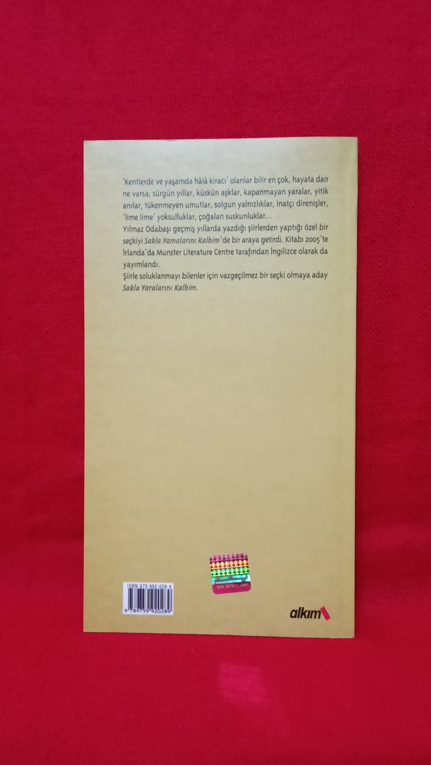 Yılmaz Odabaşı & Sakla Yamalarını Kalbim - Görsel 2