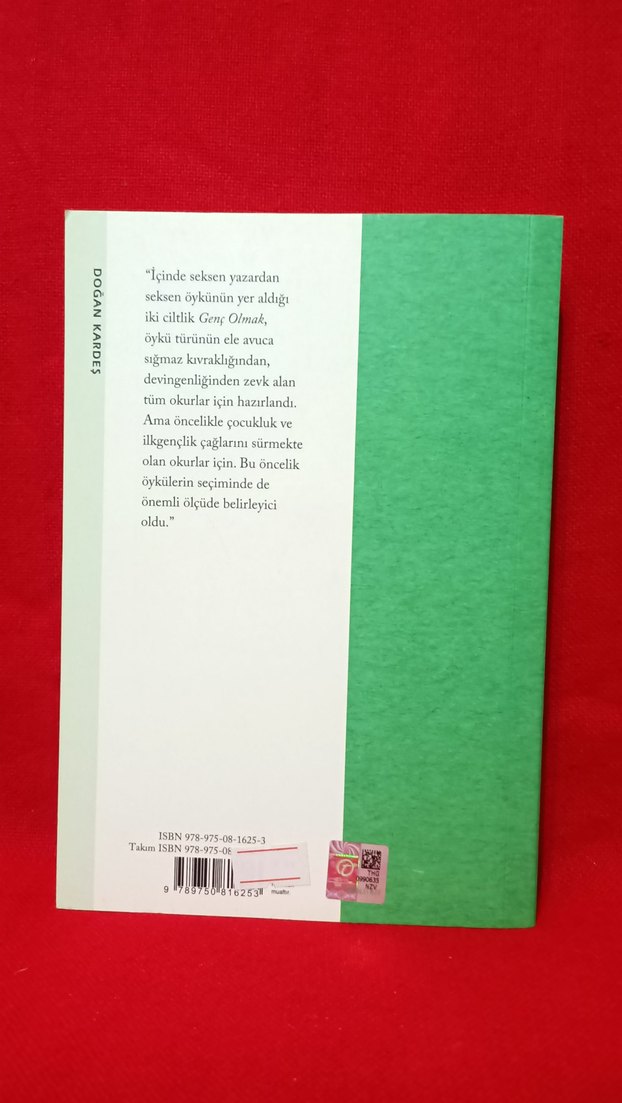 Nursel Duruel & Genç Olmak 1. Cilt - 80 Yazardan Öykü - Görsel 2