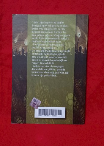 Ergin Doğru & Sevdası Dağlar Olan - Görsel 2