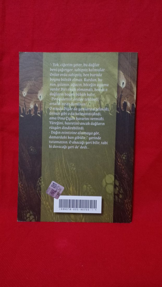 Ergin Doğru & Sevdası Dağlar Olan - Görsel 2