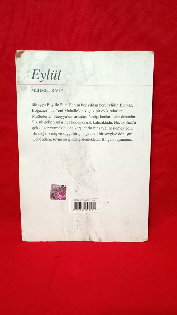 Mehmet Rauf  & Eylül - Görsel 2