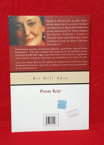 Pınar Kür & Bir Deli Ağaç - Görsel 2