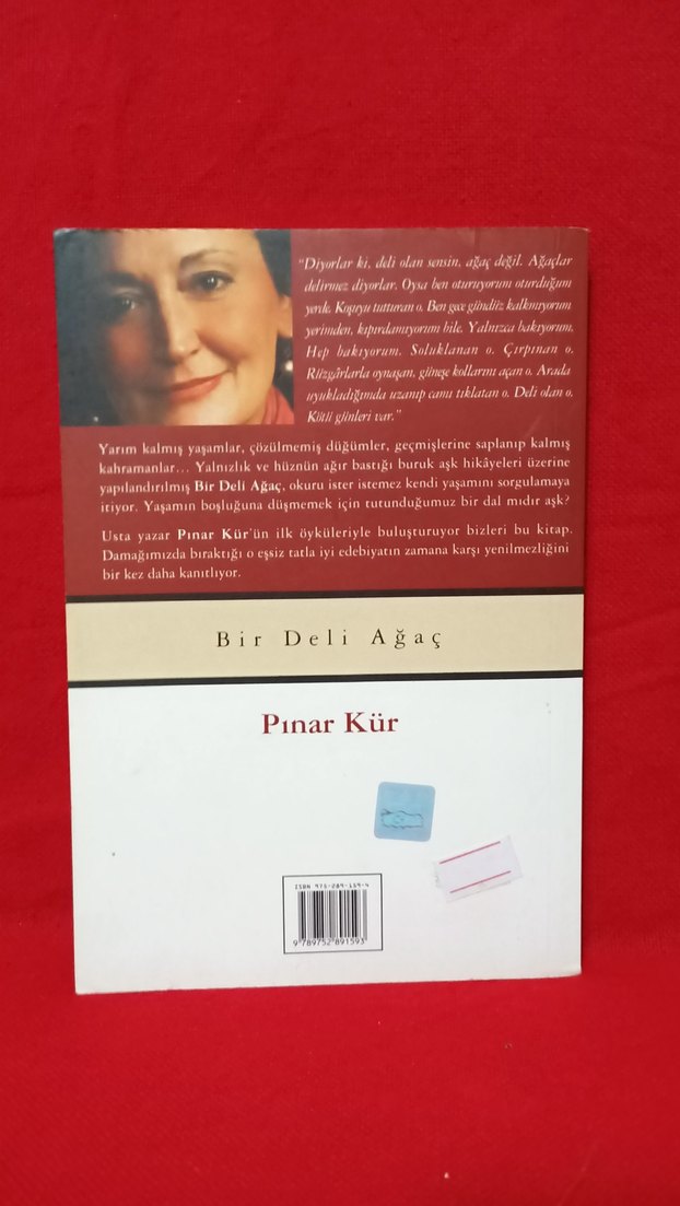 Pınar Kür & Bir Deli Ağaç - Görsel 2