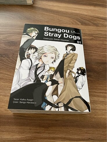 Bungou stray dogs 1