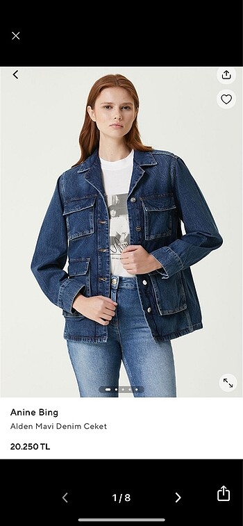 Abercrombie & Fitch Frame ceket anine bing ceket