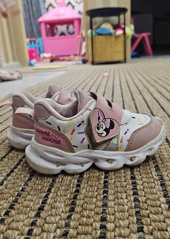 Walt Disney World 25