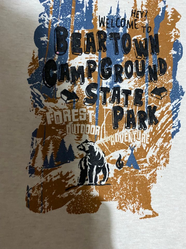 Gri Baskılı Erkek Çocuk Sweatshirt - Görsel 2