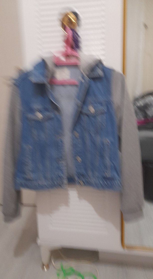 Gri Denim ve Gri Sweatshirt Kombinli Kadın Ceket - Görsel 2