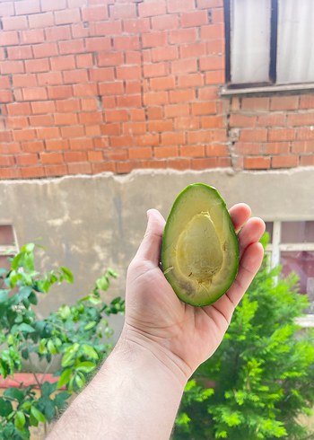 Dalından taze avakado - Görsel 2