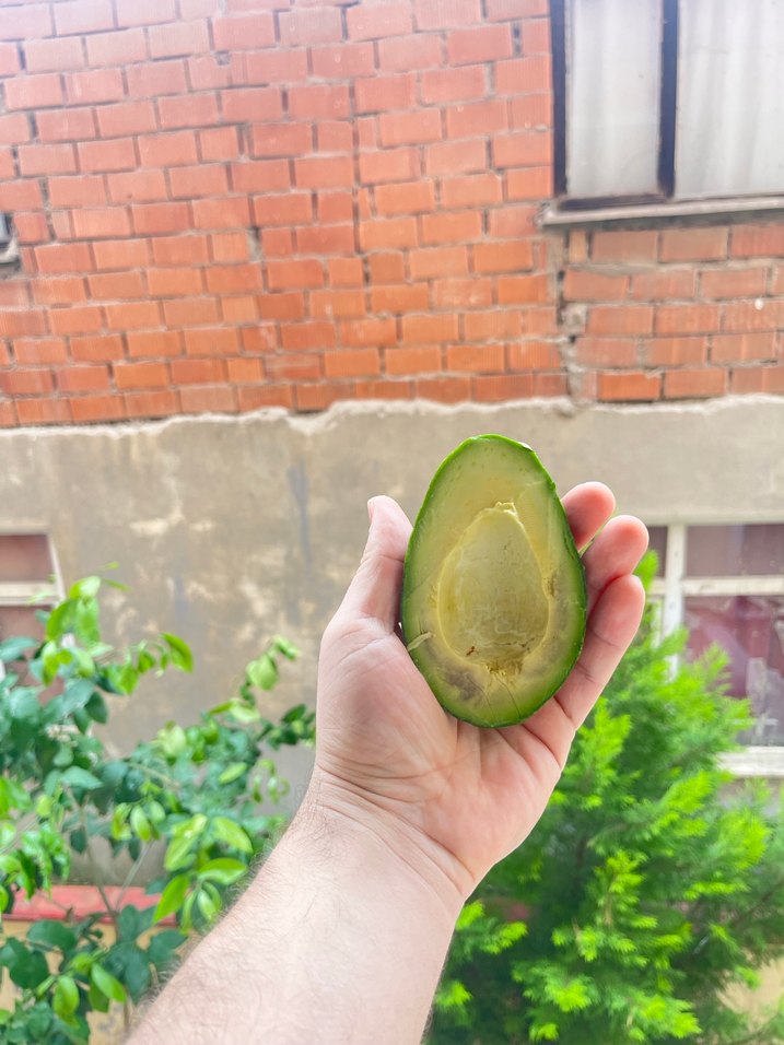 Dalından taze avakado - Görsel 2