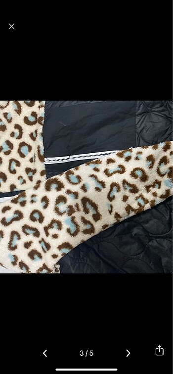 xl Beden Leopar ????