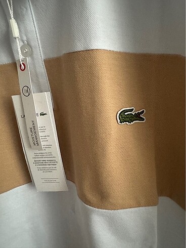 3xl Beden camel Renk LACOSTE ERKEK T-SHİRT