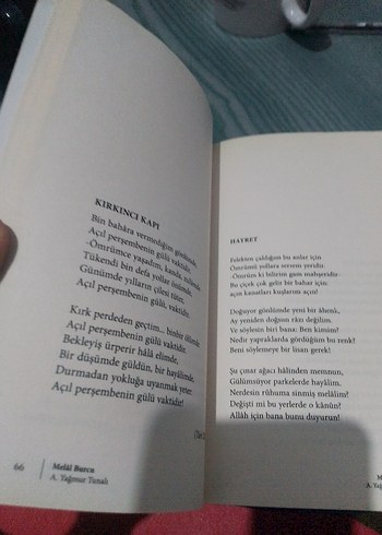 Melal Burcu - A. Yağmur Tunali - Görsel 4