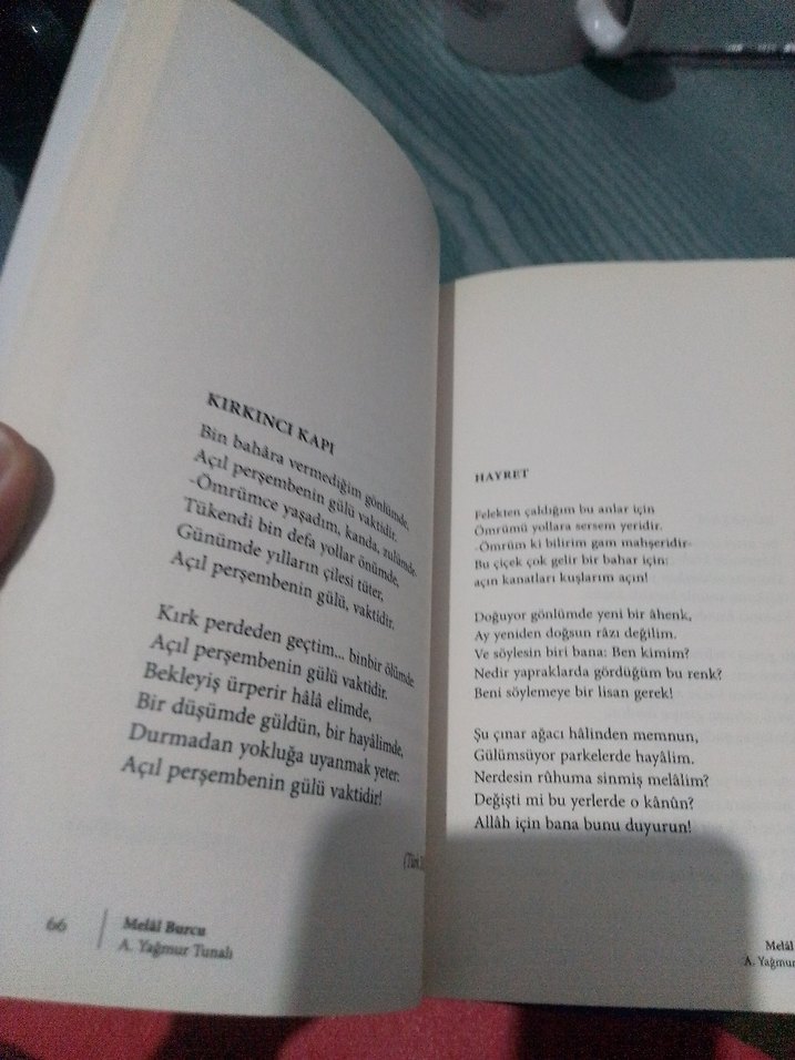 Melal Burcu - A. Yağmur Tunali - Görsel 4