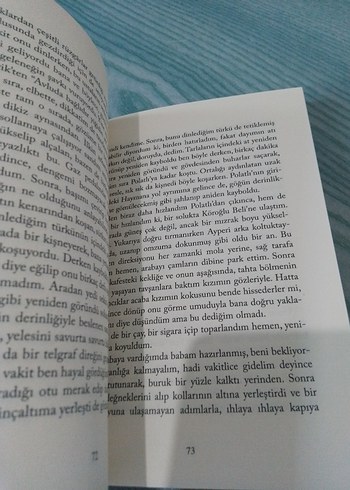Beden Renk Kuşlar Yasına Gider - Hasan Ali Toptaş