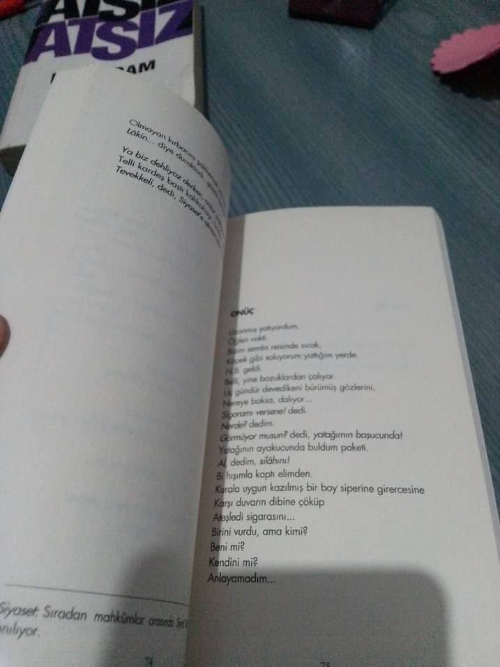 Can Yücel - Bir Siyasinin Şiirleri - Görsel 3