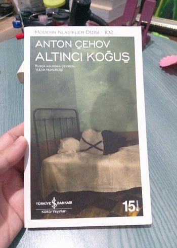 Anton Çehov - Altıncı Koğuş Romanı