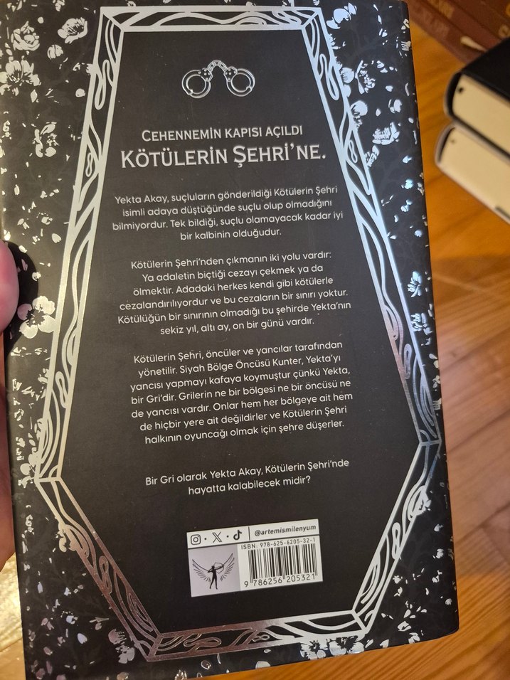 Veyl - Kötülerin Şehri Romanı - Görsel 2