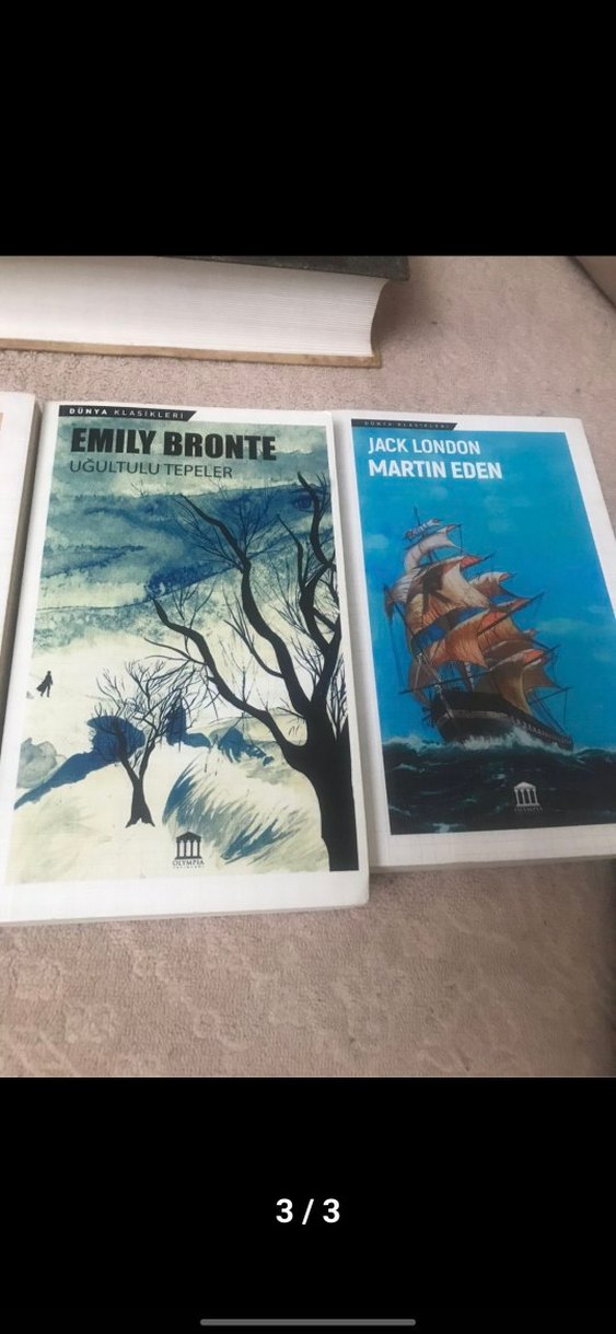 Ünlü Klasik Roman Seti - Görsel 3