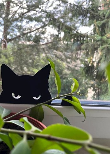 Gizemli Kedi Cam Dekoru - Görsel 3