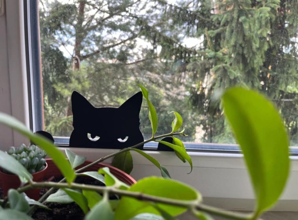 Gizemli Kedi Cam Dekoru - Görsel 3