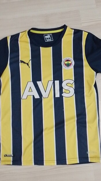 Puma Fenerbahçe 2022-23 Çubuklu forma 