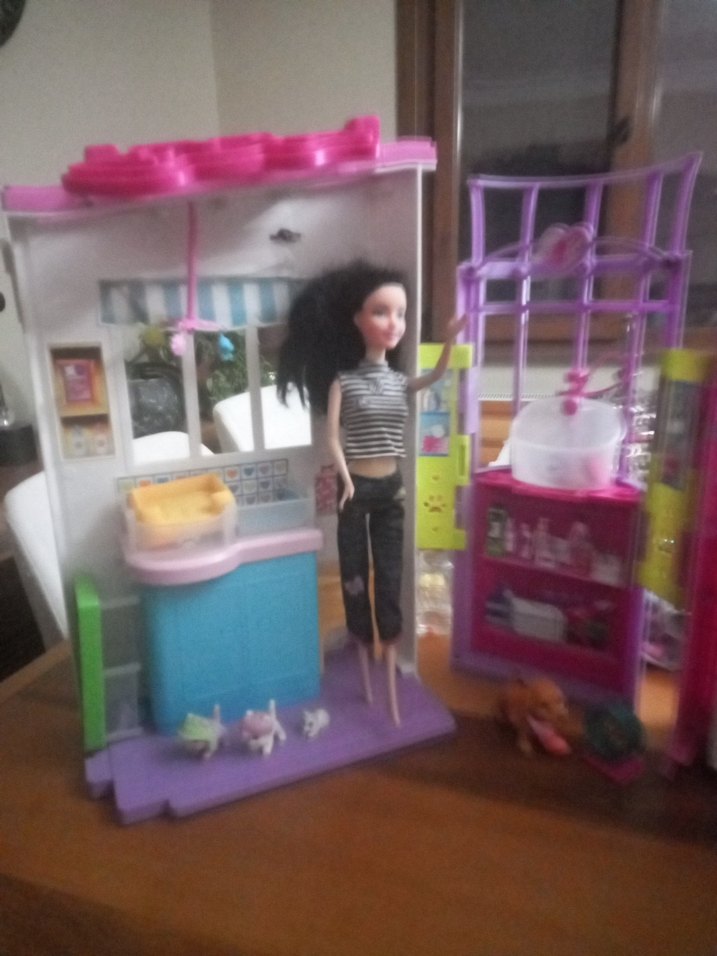 Barbie Pastel Pembe Oyun Evi - Görsel 5