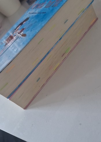 Zeynep Rahra'dan Ayçöreği ve Elmalı Turta Romanları - Görsel 2