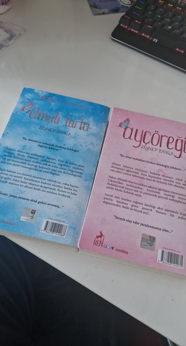 Zeynep Rahra'dan Ayçöreği ve Elmalı Turta Romanları - Görsel 4