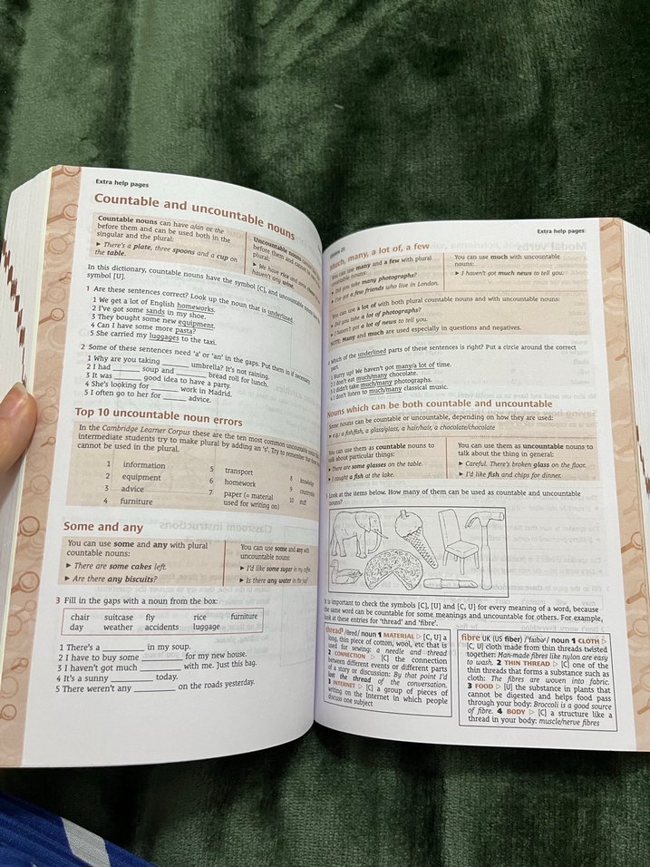 İngilizce sözlük Cambridge Learner's Dictionary - Görsel 2