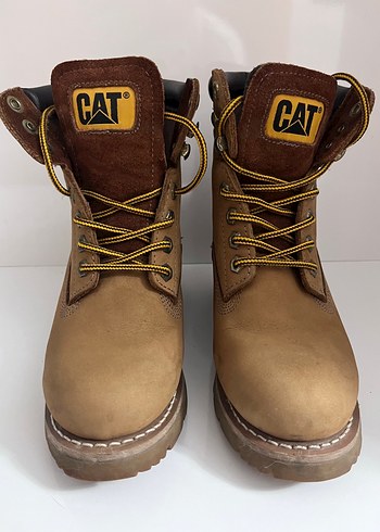 Cat 36