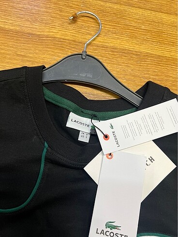 Lacoste Lacoste T Shirt