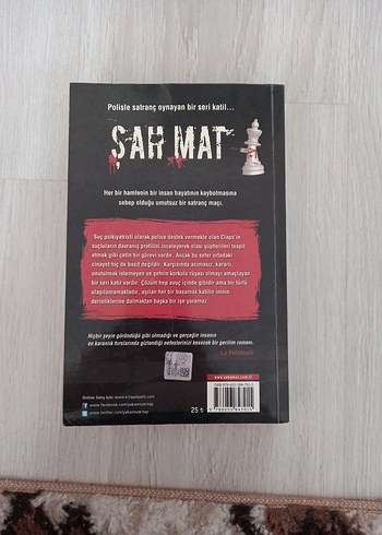 Şah mat - Mario Mazzanti - Görsel 2