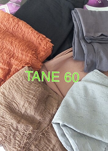 TANE 60