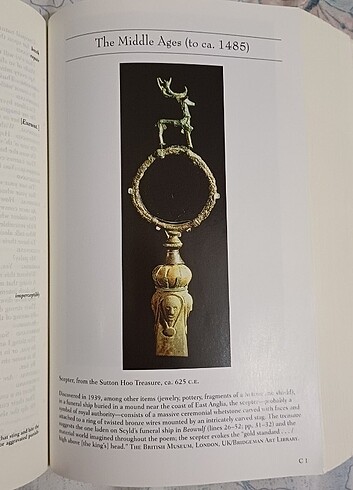 Beden The Norton Anthology English Literature