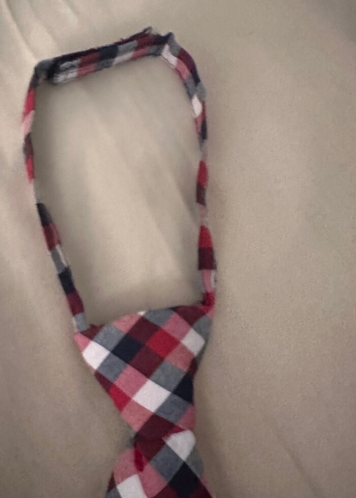 Lcw kravat - Görsel 3