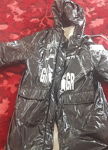 38 Beden Robin mont